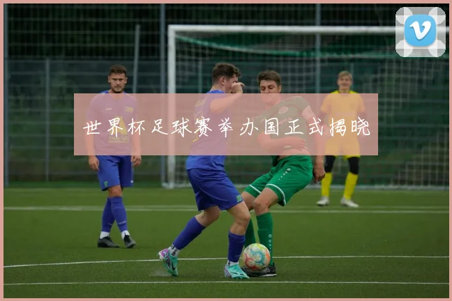 世界杯足球赛举办国正式揭晓