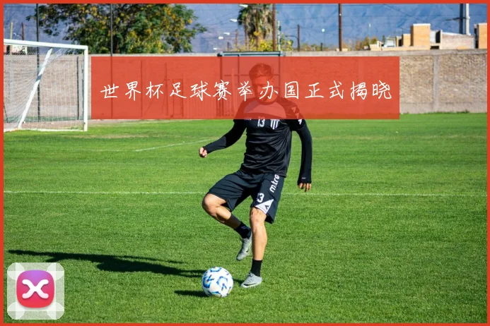 世界杯足球赛举办国正式揭晓