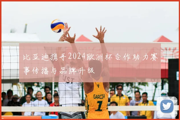 比亚迪携手2024欧洲杯合作助力赛事传播与品牌升级