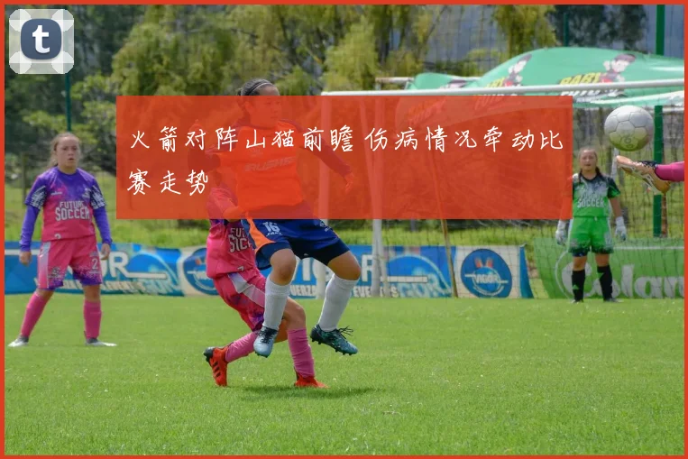 火箭对阵山猫前瞻 伤病情况牵动比赛走势