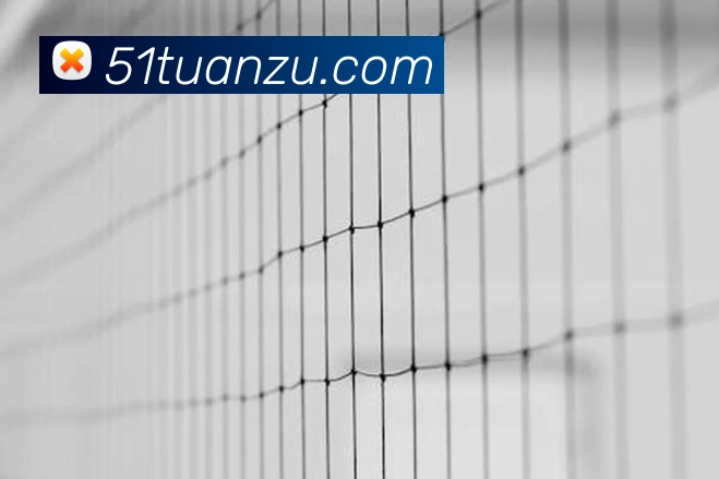 奖项图2